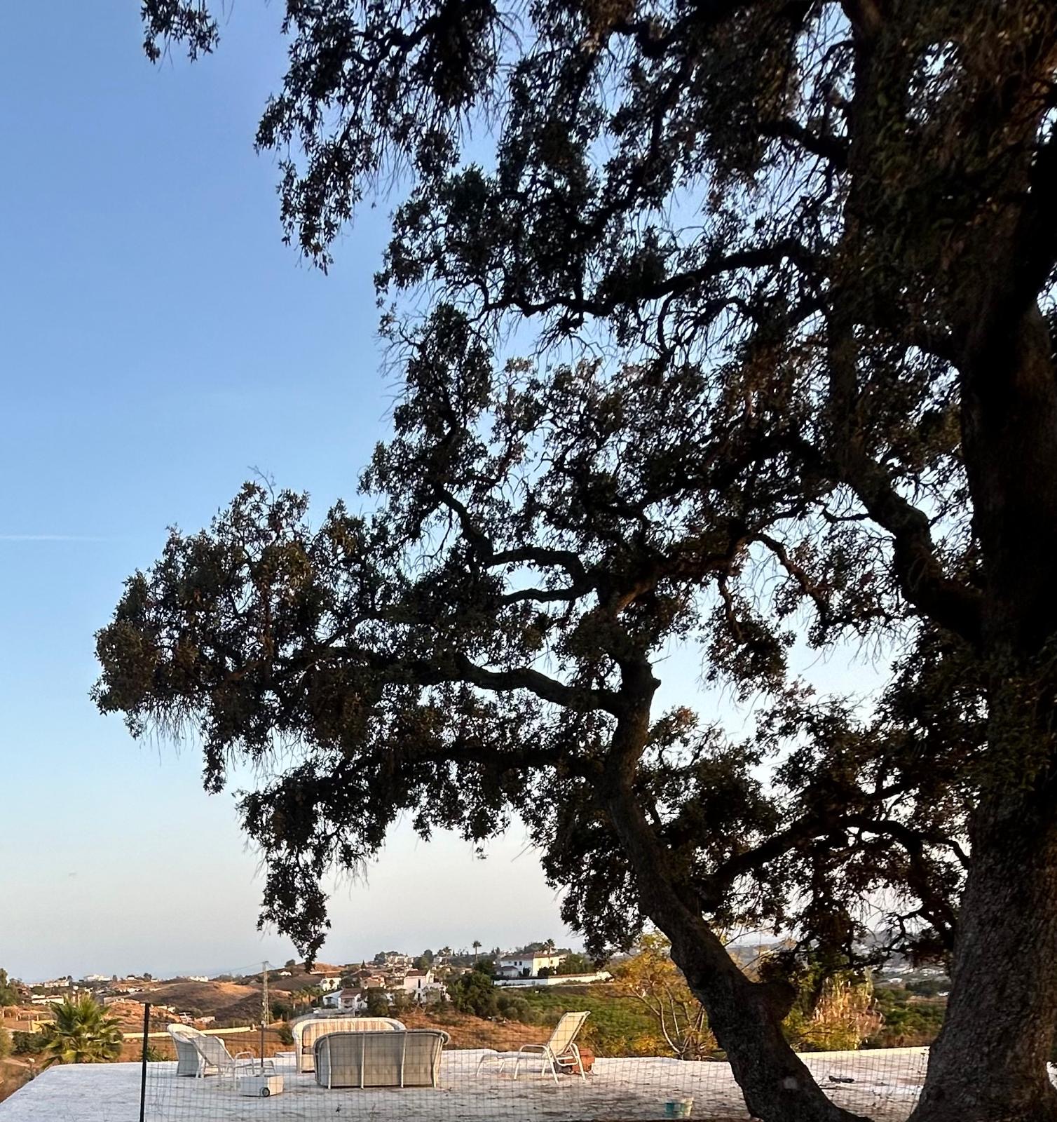 676d739d-7858-4187-bcb5-5fdb5f9ae8e3